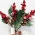 14.webp