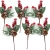 15.webp