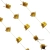 14.webp