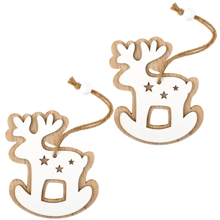 13.webp